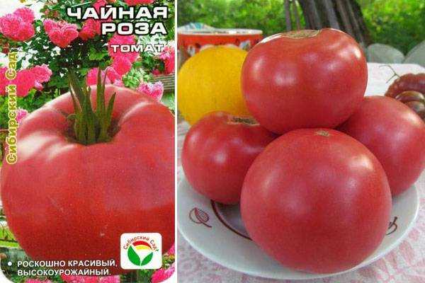 Розовые помидоры - лучшие сорта с фото и названиями (каталог)