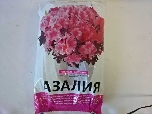 Грунт для азалий подходит для каких цветов - дачныйуголок