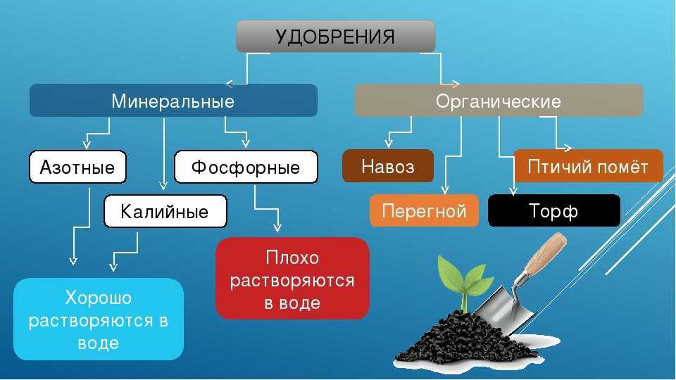 Влияние удобрений на рост и развитие растений, на цветение и плодоношения Результат недостатка и переизбытка удобрений, нормы их использования Влияние удобрений на качество плодов и здоровье человека