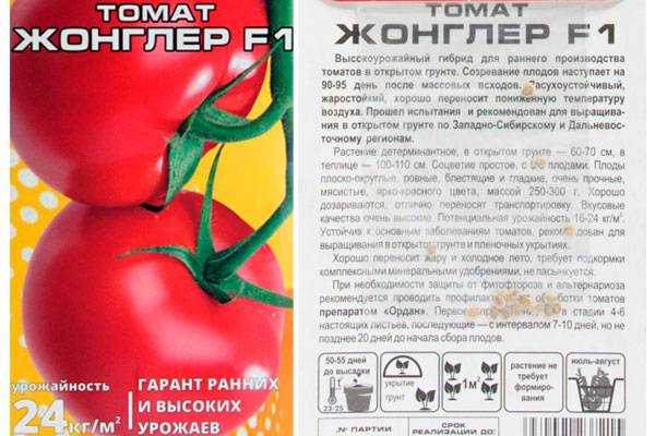 Томат интуиция f1: отзывы и фото, описание, посадка и уход - общая информация - 2021