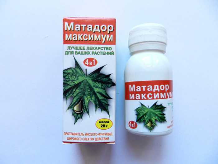 Тля. как бороться со злейшим вредителем? активные меры борьбы: химические, биологические, народные. описание, профилактика. фото — ботаничка