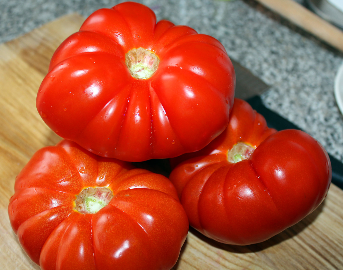 томат инжир красный фото