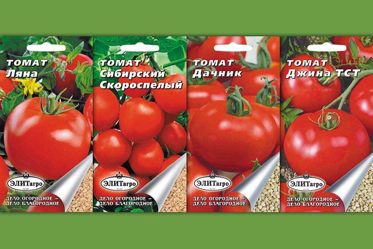 Описание томата джина с фото: характеристика сорта, правильная посадка семян и рассады помидор, выращивание и уход за растением с видео