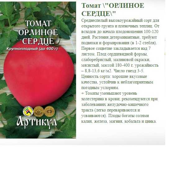Томат орлиный клюв: описание и характеристика сорта, особенности выращивания, отзывы, фото