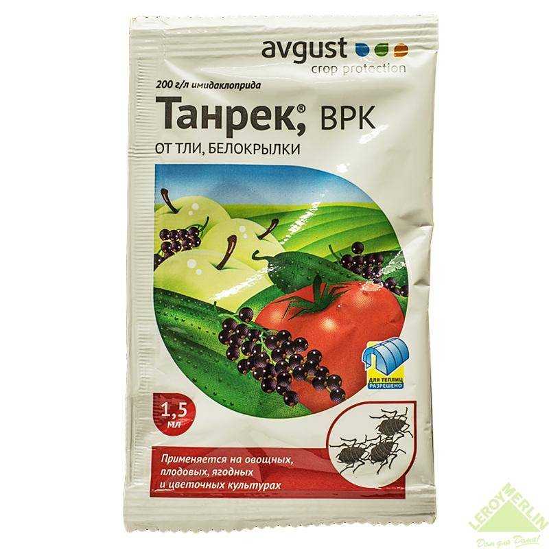 Как бороться с тлей на садовых цветах: препараты и другие средства