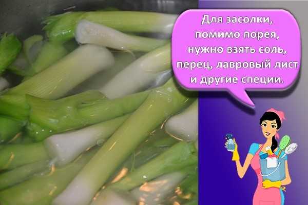 Как правильно хранить лук порей после уборки урожая