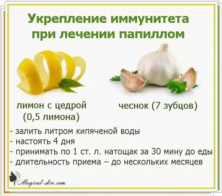 10 вопросов врачам об иммунитете от пожилых людей