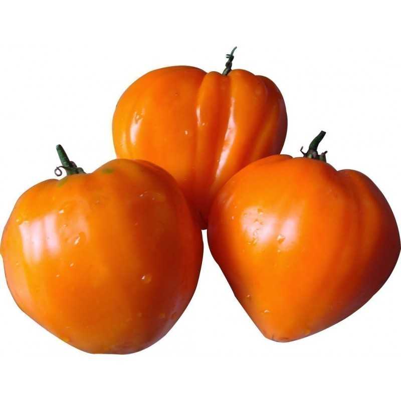 Томат немецкая красная клубника: отзывы, фото, урожайность | tomatland.ru