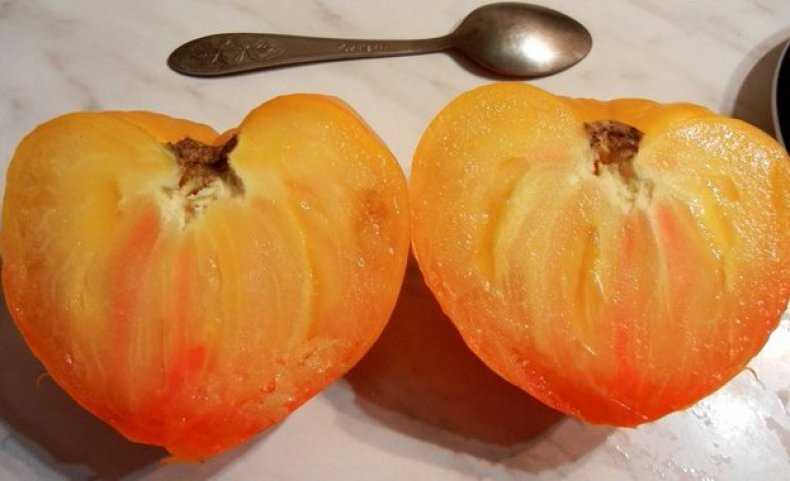 Ультраранние сорта томатов для открытого грунта, низкорослые, с фото и описанием