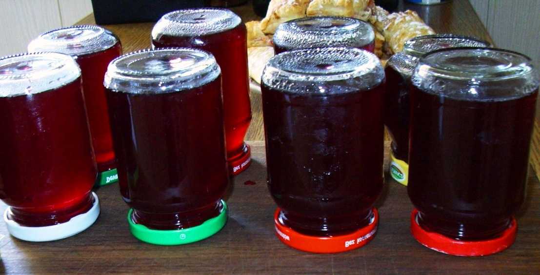 Виноградный сок: способы и варианты приготовления. как сделать виноградный сок на зиму в домашних условиях