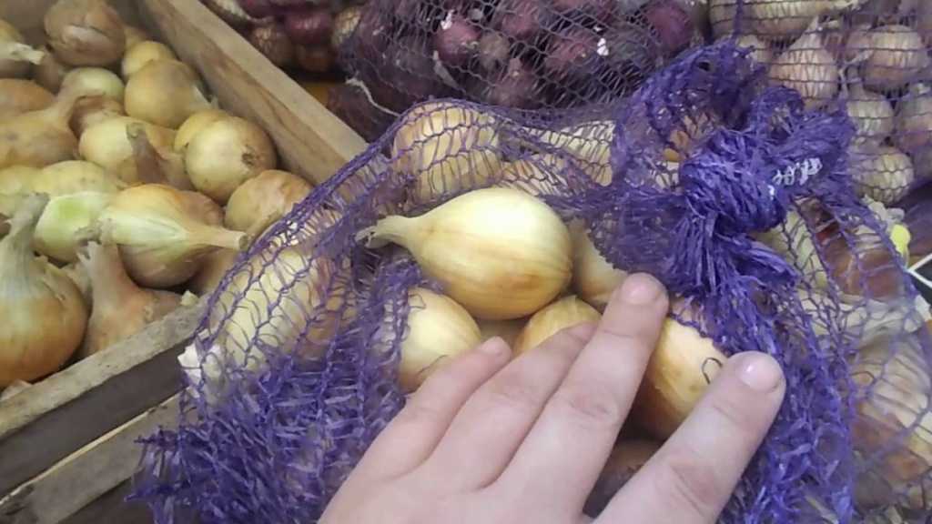 Как хранить лук зимой в домашних условиях