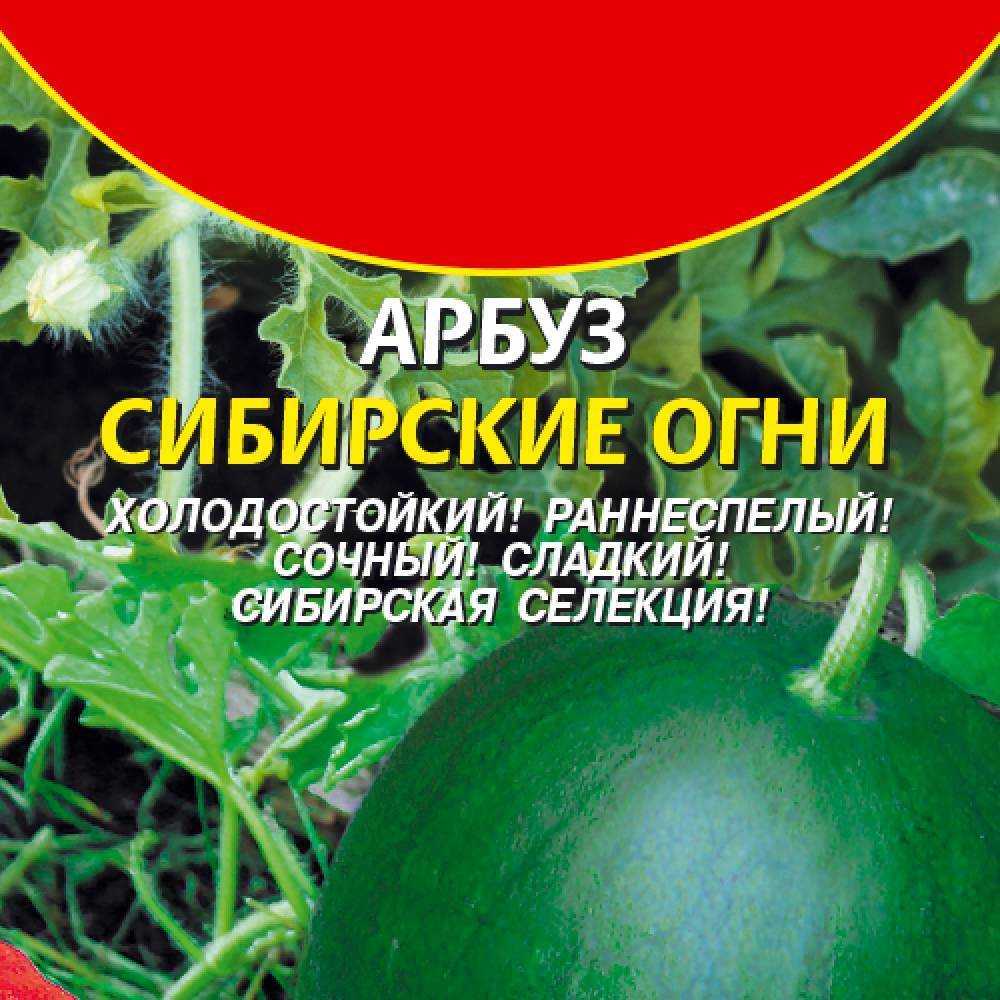 Арбуз огонёк: выращивание, описание сорта, отзывы и фото