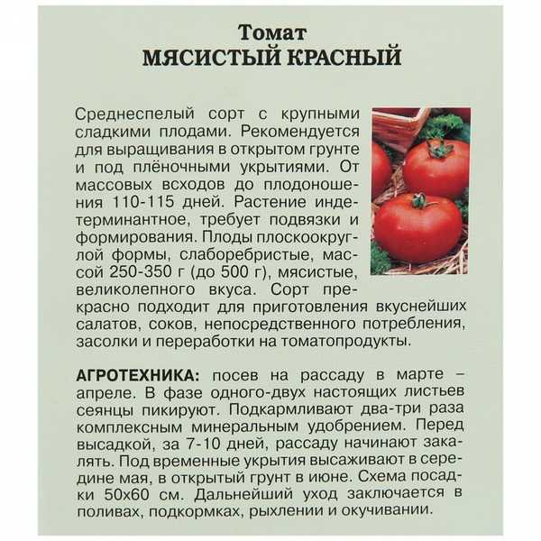 Малина “исполин”: описание сорта, фото, посадка и уход