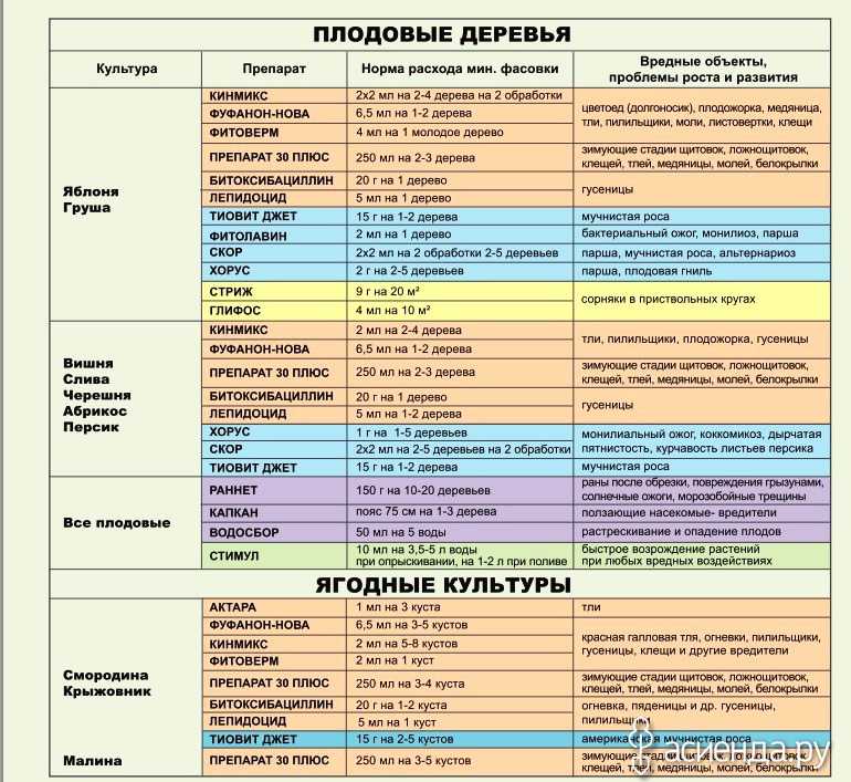 Схема обработки сада с весны до осени