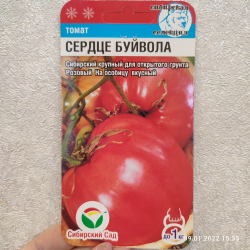 Сердце Буйвола Томат Отзывы Фото Достоинства Недостатки