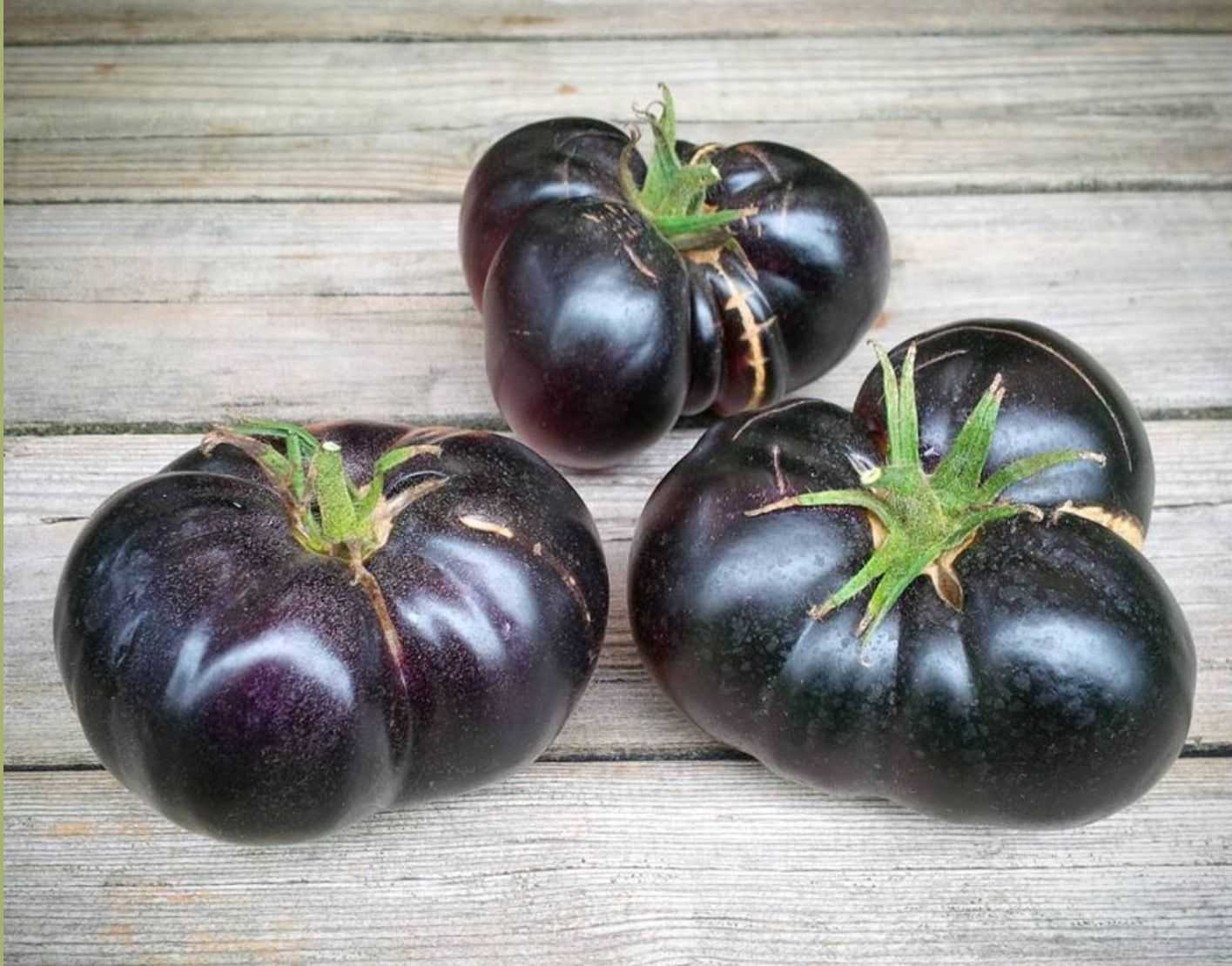 Блэк Бьюти (черная красавица томат