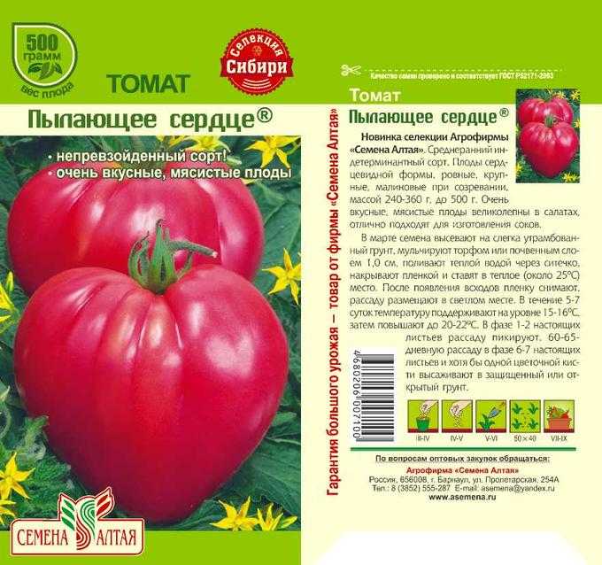 Самые урожайные сорта томатов для теплицы: ранние, лучшие, супер урожайные для подмосковья, сибири, урала