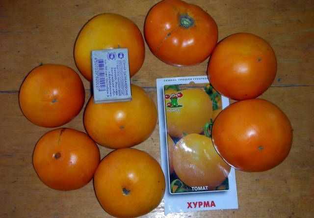 Помидоры хурма картинки