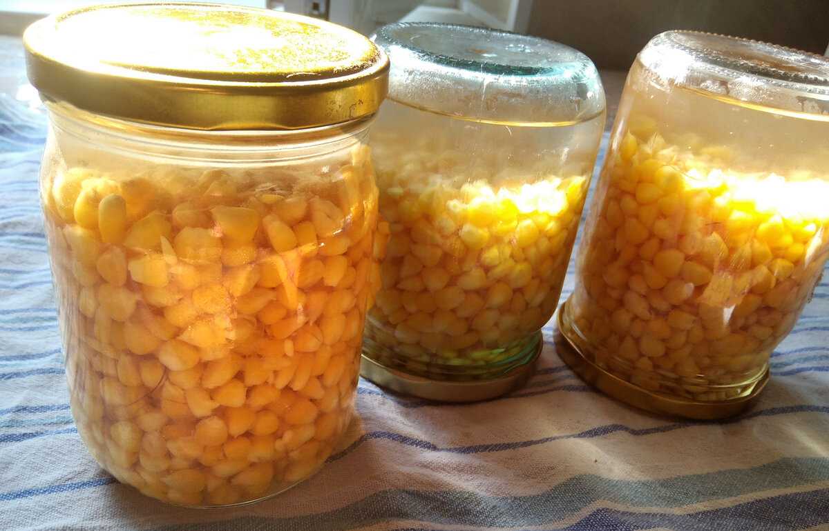 Консервирование кукурузы в початках: рецепт в домашних условиях, молодые на зиму
