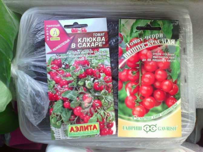 Томат клюква в сахаре: характеристика и описание сорта, отзывы, фото, урожайность, выращивание