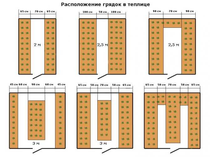 Как правильно проветривать теплицы из поликарбоната