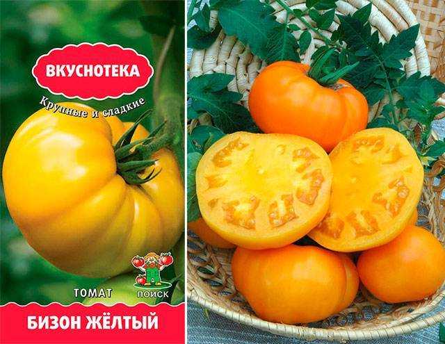 Томат сахарный бизон: характеристика и описание сорта, отзывы дачников с фото