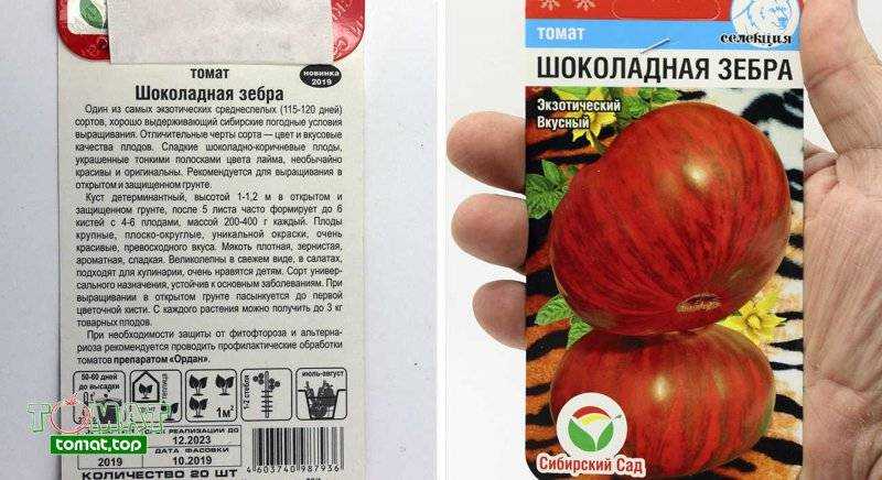 Томат полосатый шоколад: характеристика и описание селекционного сорта с фото