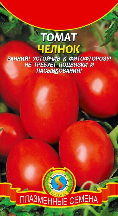 Томат челнок: отзывы, описание, характеристика сорта, фото.