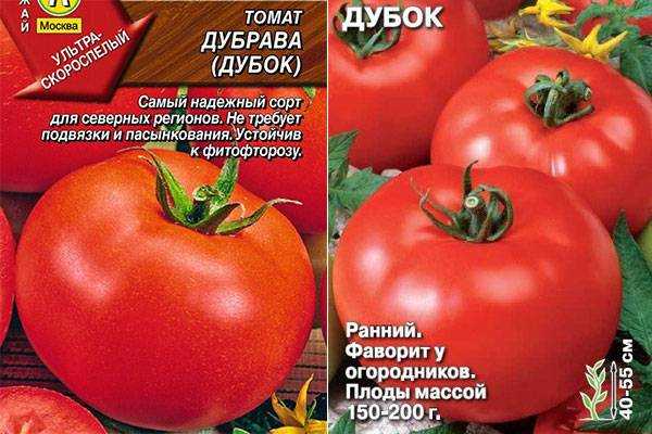 Томат "дубрава": характеристика и описание сорта, отзывы, фото, урожайность