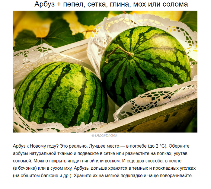 Как сохранить арбуз до нового года: способы, советы и отзывы