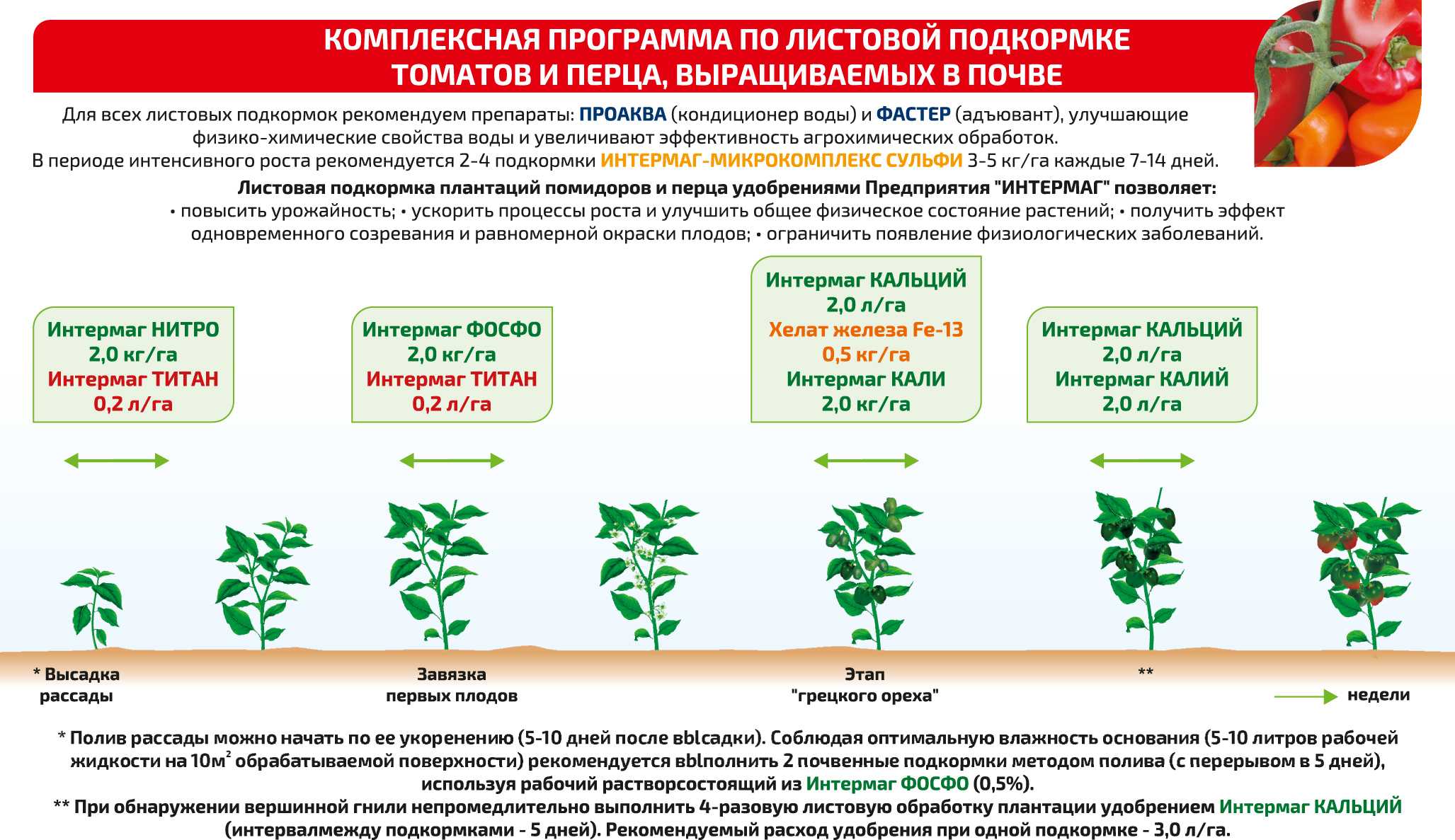Как выбрать грунт для орхидеи фаленопсис? покупаем в магазине или готовим своими руками
