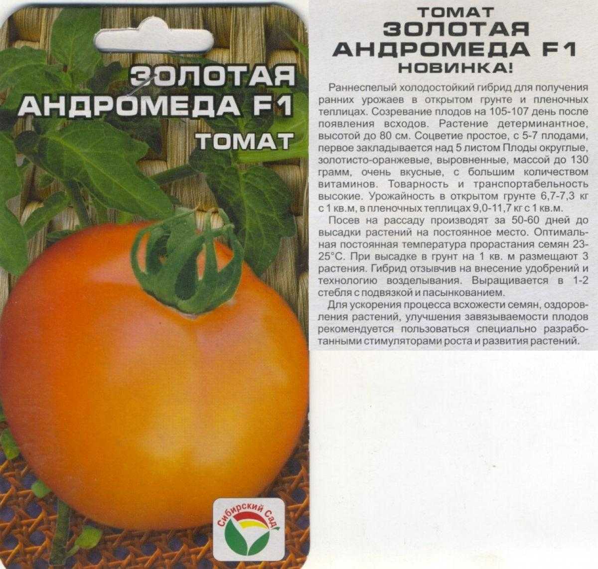 Сорт помидор андромеда фото и описание
