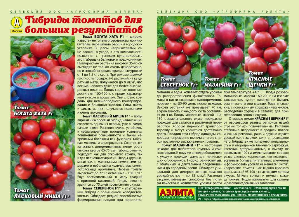 Томат альфа: описание сорта, отзывы, фото, урожайность