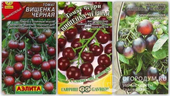 Лучшие сорта томатов черри для теплицы и открытого грунта: топ-25 с фото, описаниями и характеристиками