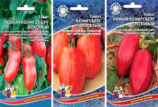 Томат кенигсберг золотой характеристика и описание сорта