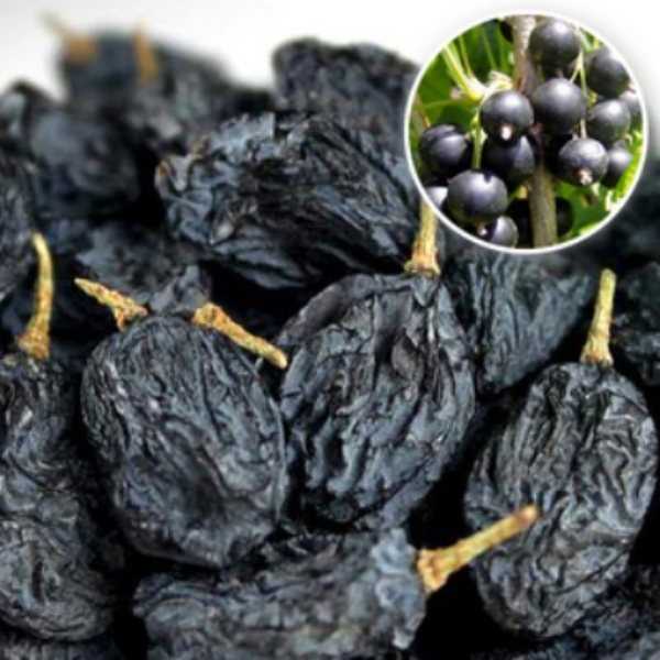 Лучшие сорта клубники с разными сроками созревания: ранние, среднеспелые, поздние и ремонтантные