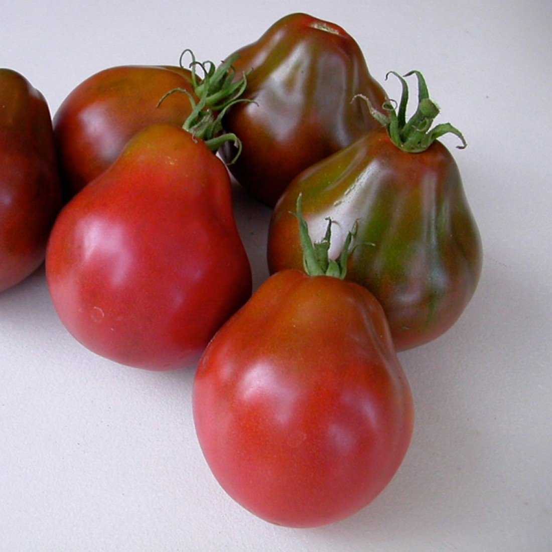Описание и характеристика томата с грибным названием — «трюфель»