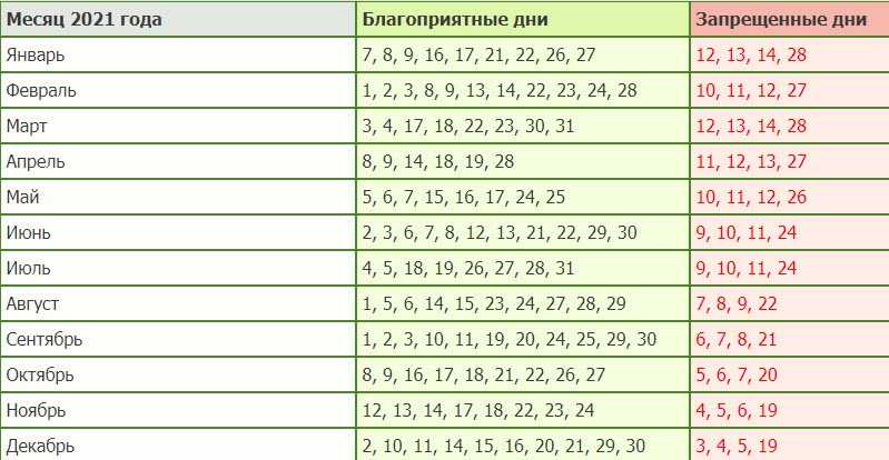 Высадка рассады помидор в апреле 2021 года: сроки, благоприятные дни