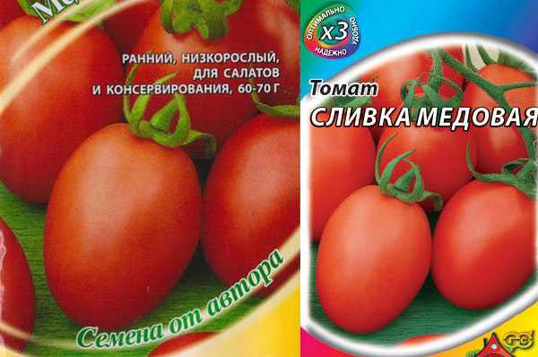 Лучшие сорта слив с фото и описанием. сливы желтые, красные, синие