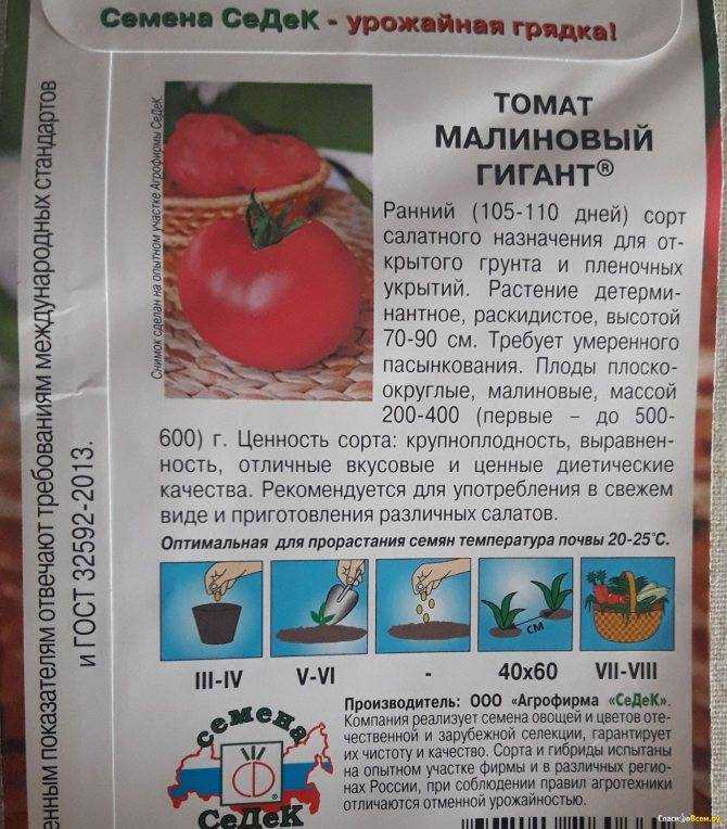 Малина сорт августовское чудо: описание, фото, отзывы