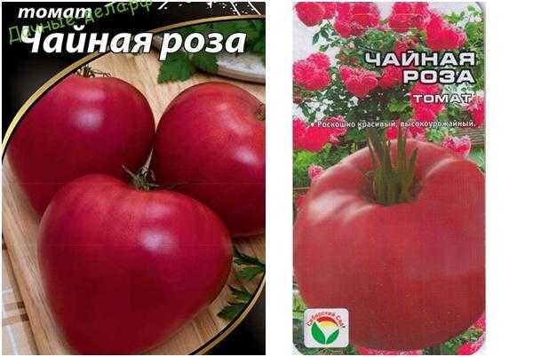 Красивые, мощные, устойчивые к болезням томаты - все это о сорте Чайная Роза, популярном среди огородников-любителей Дополнительный бонус - очень вкусные плоды и высокая урожайность