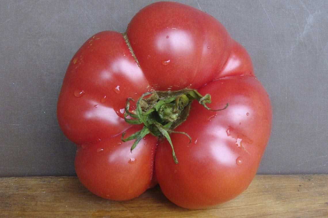 Юсуповский томат описание фото