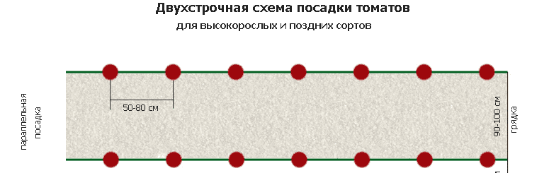 Схема посадки индетерминантных томатов в теплице 3х6