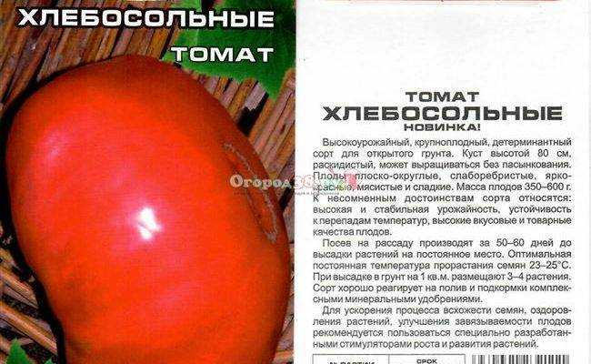 Сорта томатов для теплиц