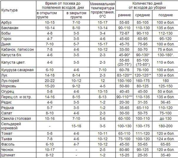 Когда убирать тыкву с грядки на хранение в 2021 году: благоприятные дни, сроки
