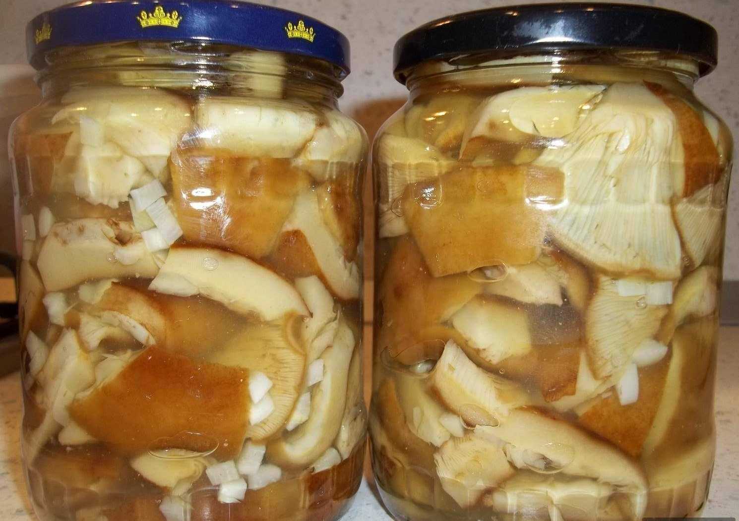 Маринованные белые грибы на зиму в банках. простые рецепты приготовления