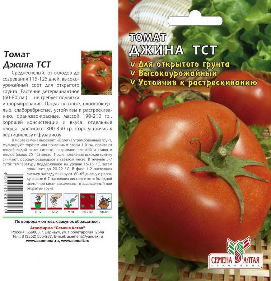 Томаты джина: отзывы, фото, описание и характеристика сорта, урожайность, особенности выращивания | tomatland.ru