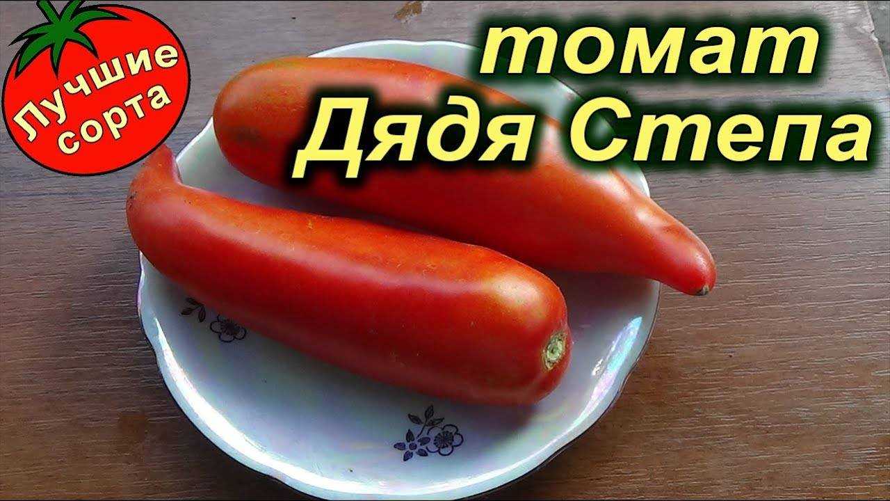 Лучшие полудетерминантные сорта томатов для россии и ее регионов