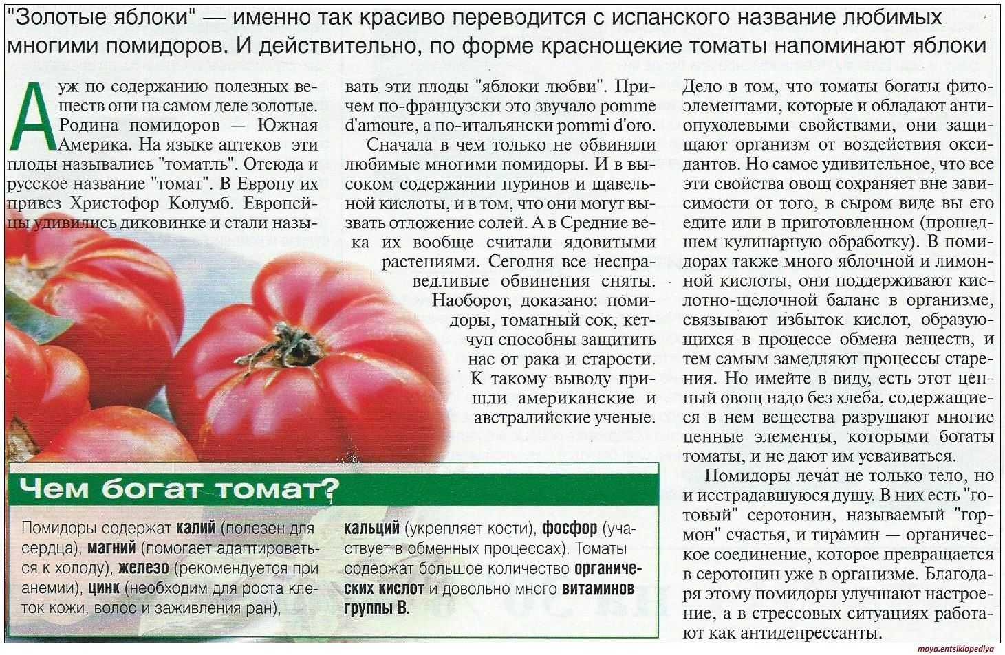 Можно ли помидор при грудном. Описание помидора. Полезные вещества в помидорах. Полезные качества помидора. Полезные свойства помидора.