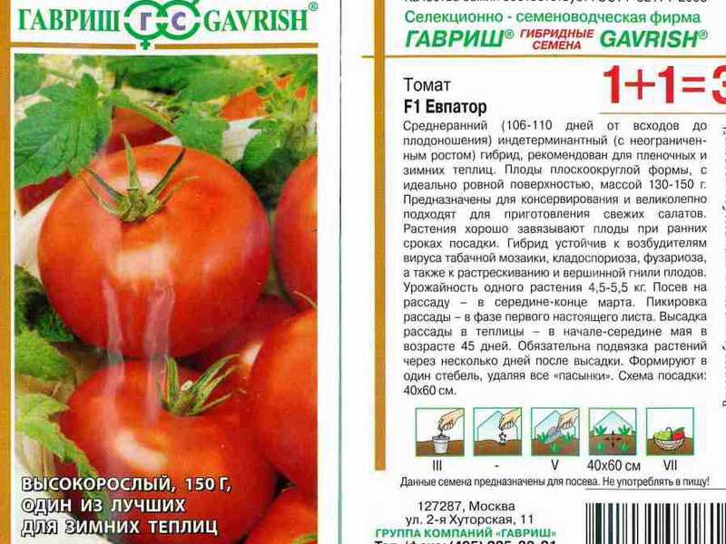 Лучшие и урожайные сорта томатов с фото и описанием